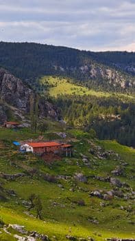 Manisa'nın Dağlarından Sanayiye: Kadınların Çitlembik Mesaisi