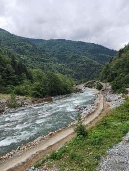 Artvin'de Araç Dereye Devrildi: 1 Yaralı