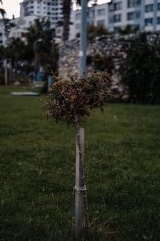 Bakan Hakan Fidan, Bağdat'ta Mehmet Seman Ağaoğlu ile Görüştü