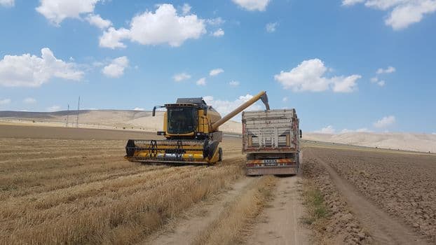 Ardahan'da Arıcılar 2027 Sezonu İçin Kış Hazırlıklarına Başladı
