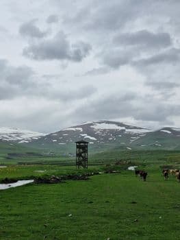 Ardahan Valisi Yamlı ve eşi pazar tezgâhlarını gezerek alışveriş yaptı