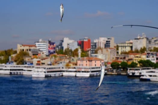 İstanbul Boğazı’nda balık tutmaya giden öğretmenler erkek cesedi buldu