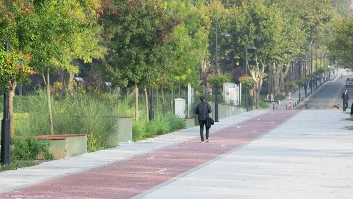 Türk Üniversitelerinden Sürdürülebilirlik Alanında Küresel Başarı