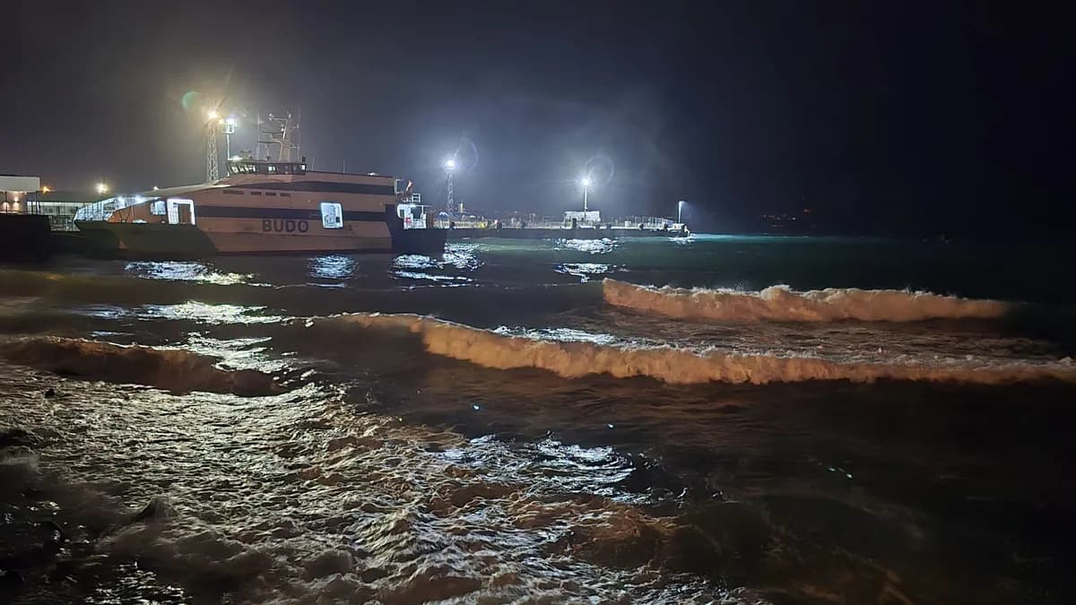 Deniz ulaşımına hava engeli! BUDO 8 seferini iptal etti