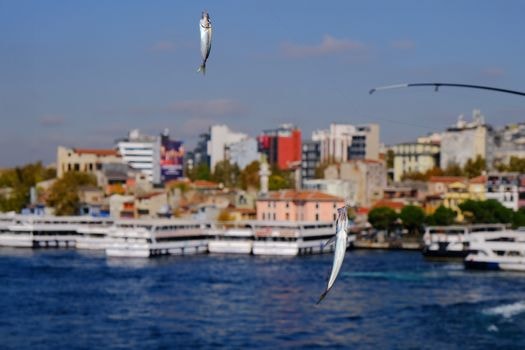 İstanbul Boğazı’nda balık tutmaya giden öğretmenler erkek cesedi buldu