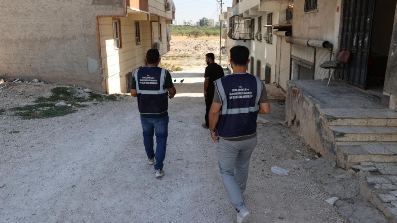 Şanlıurfa'da Sarsıntının Ardından Saha Taramaları Kesintisiz Devam Ediyor