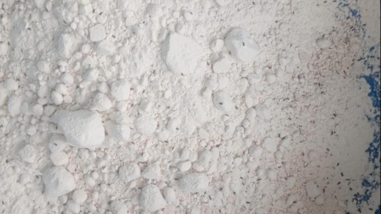Bir iş yerinde 7,5 ton böceklenmiş un ele geçirildi