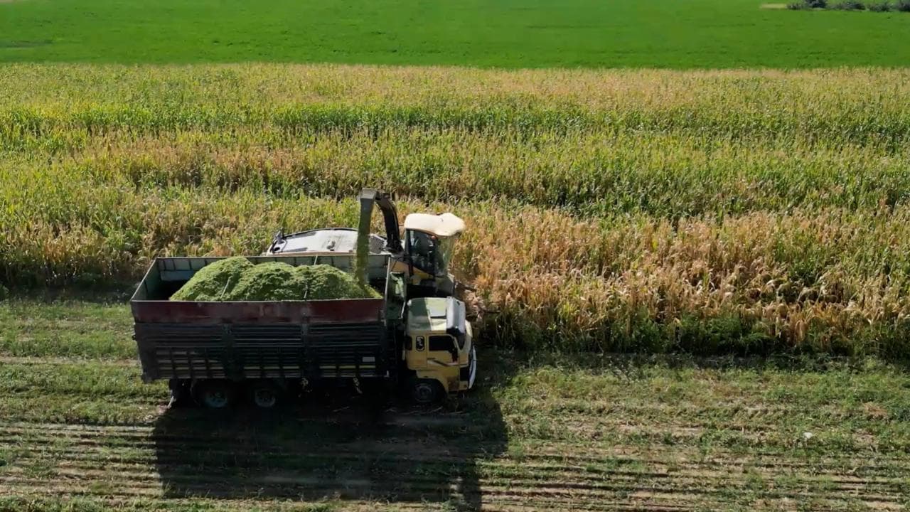 Tarım ve Gıda Yatırımlarına 10 Milyon Dolara Kadar Uygun Koşullu Finansman Desteği