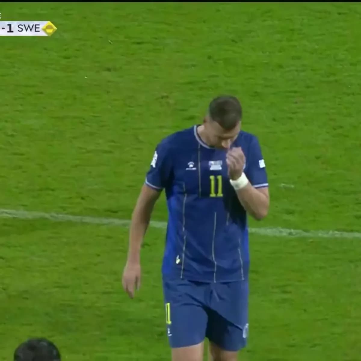 Dzeko'dan milli takıma hüzünlü veda