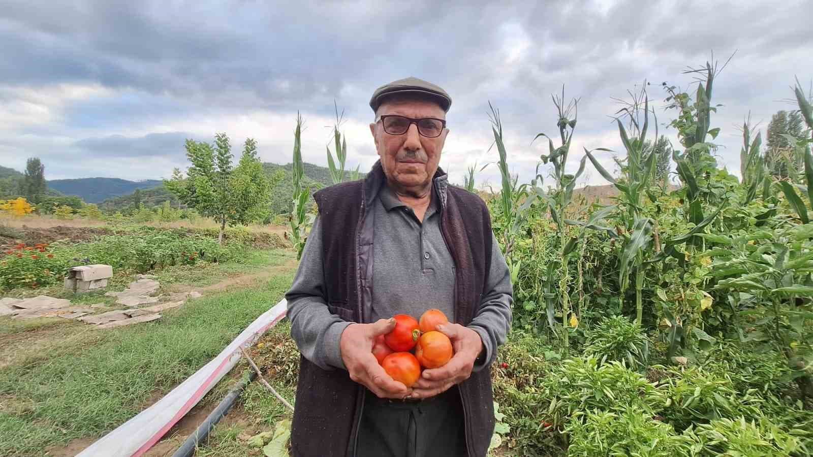 Sarıgöl'de Ata Tohumlarının İzinde: Aile Mirasını Geleceğe Taşıyor