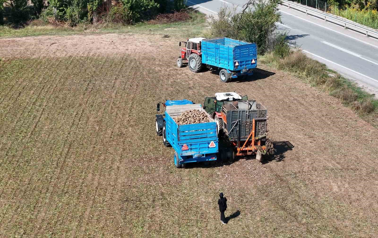 Erzincan'da Şeker Pancarı Hasadı Heyecanı Başladı