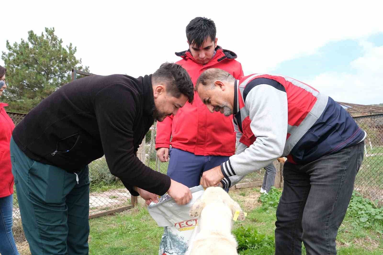 Kütahya'da Sahipsiz Hayvanlara Vakıf Desteği