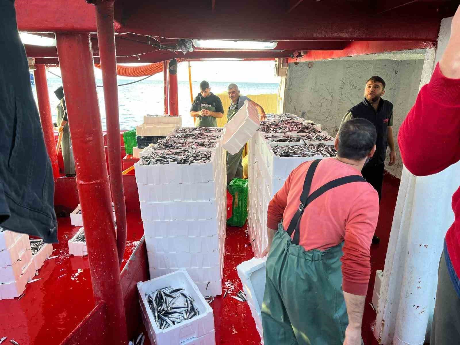 Didim'de Hamsi Kotası Denetimleri Gerçekleştirildi