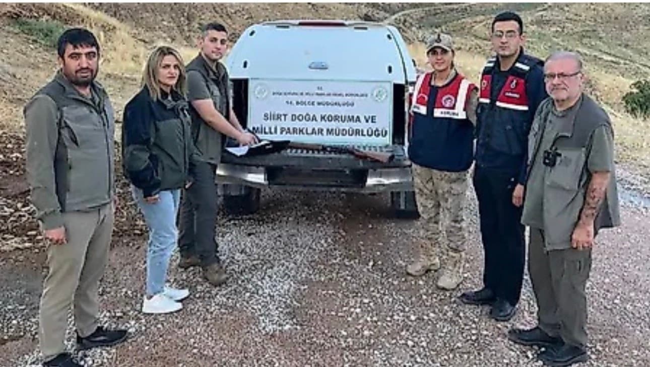 Siirt'te Kaçak Avcılık Operasyonu: Bir Kişi Yakalandı