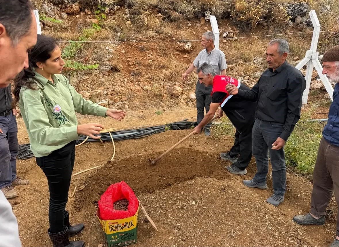 Çelikhan'da Üreticilere Salep Yumrusu Desteği