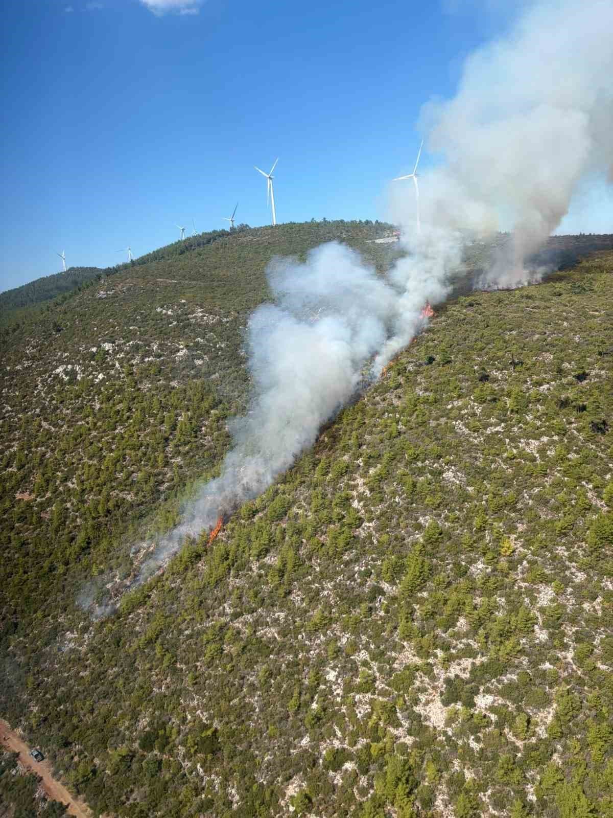 Bodrum Mazı'da Orman Yangını: Ekipler Seferber Oldu