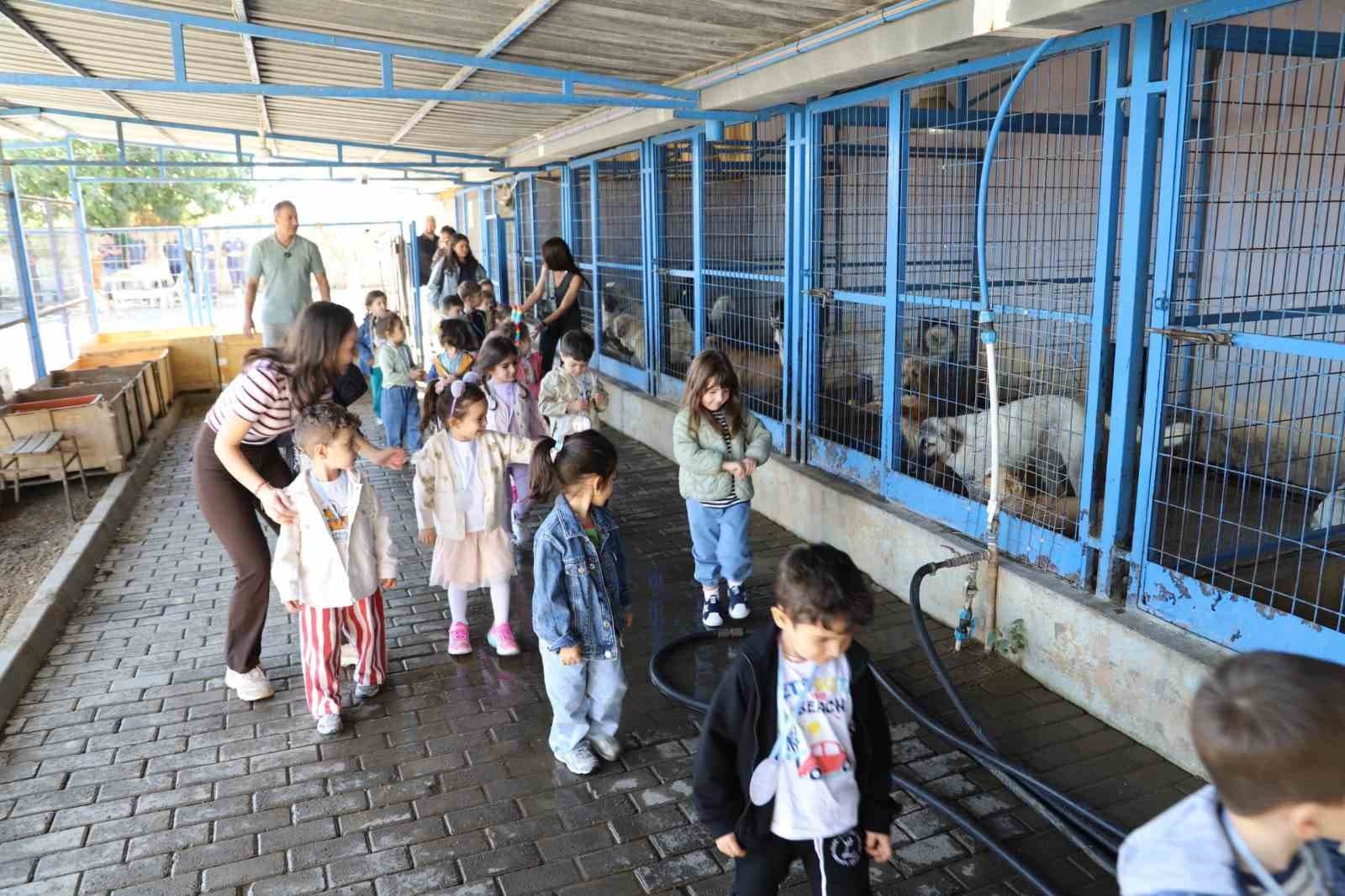 Nazilli'de Öğrenciler Hayvan Koruma Günü'nde Can Dostlarını Ziyaret Etti