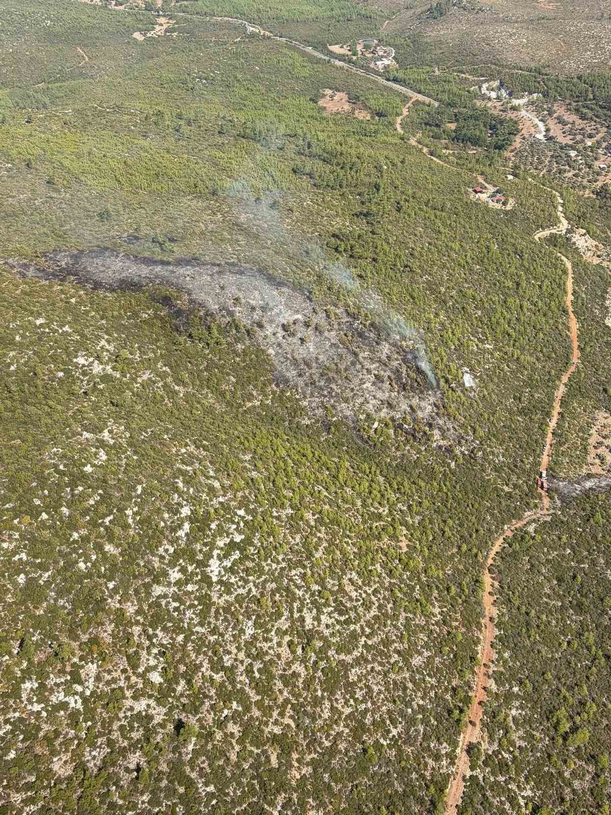Bodrum Mazı'daki Orman Yangını Söndürüldü