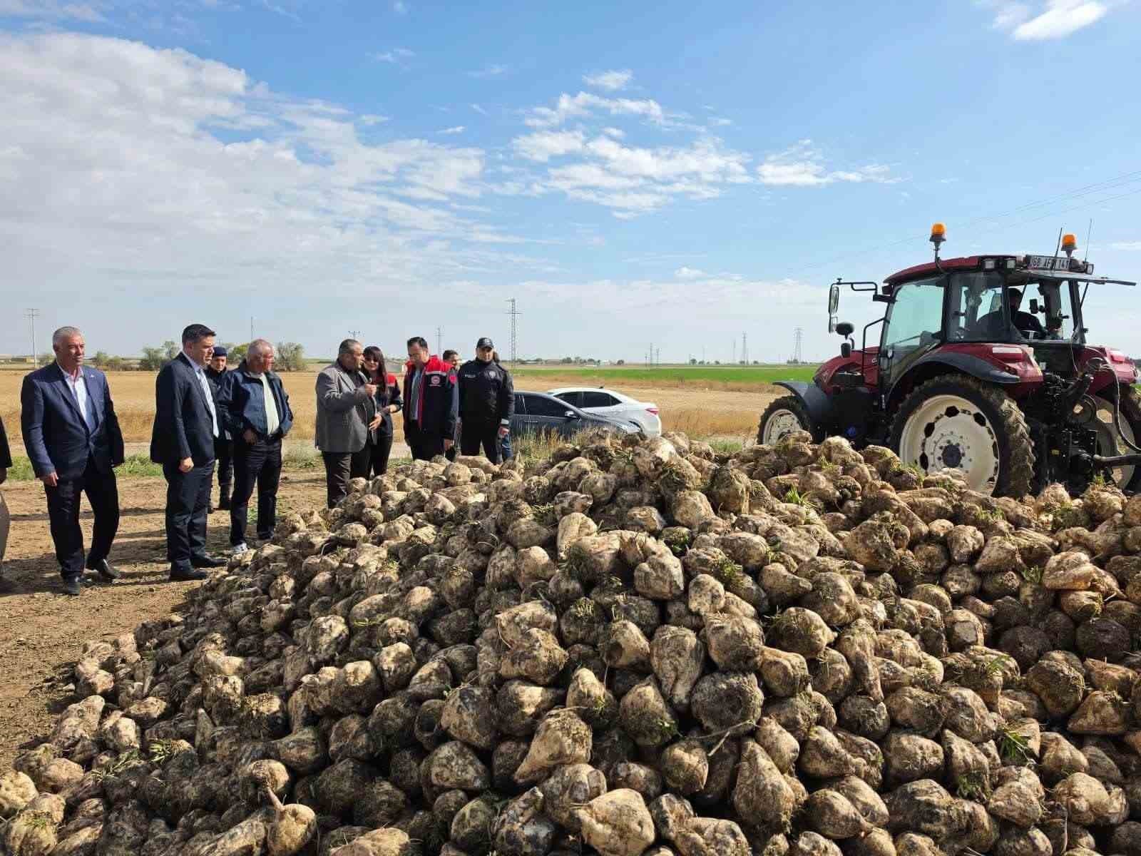 Sultanhanı'nda Şeker Pancarı Hasadı Heyecanı Başladı