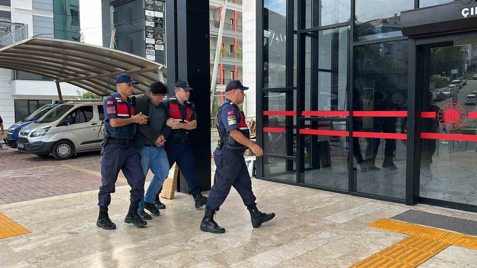 Alanya'da Kuşlara Yönelik Vahşet Görüntüleri İnfial Yarattı