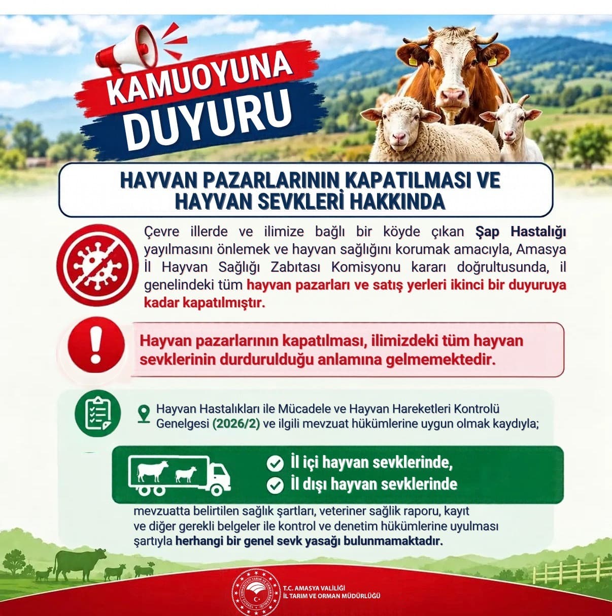 Amasya'da Şap Hastalığı Riski Nedeniyle Hayvan Pazarlarına Kilit
