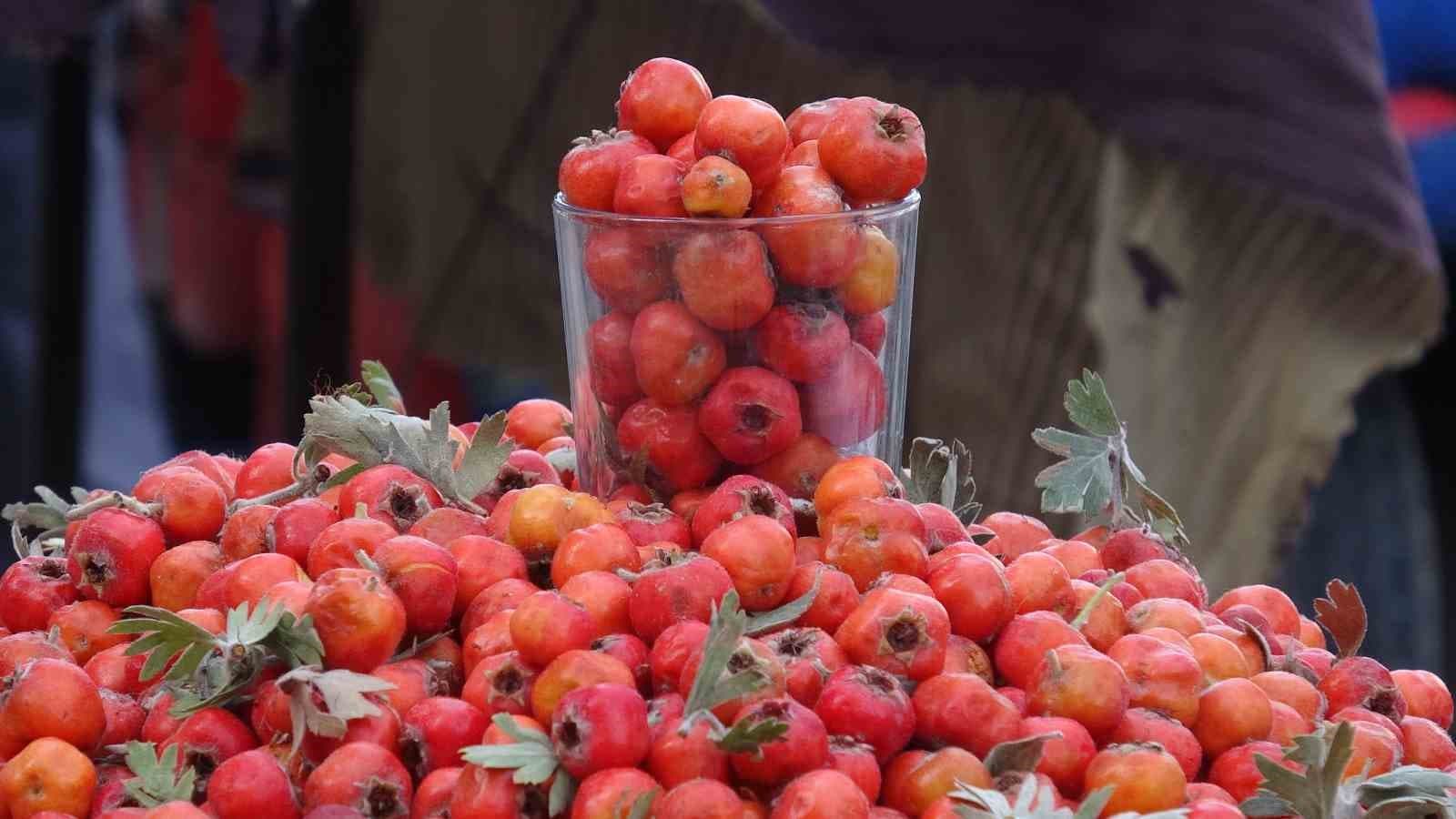 Van'ın Dağlarından Gelen Şifa: Alıçlar Tezgahlarda