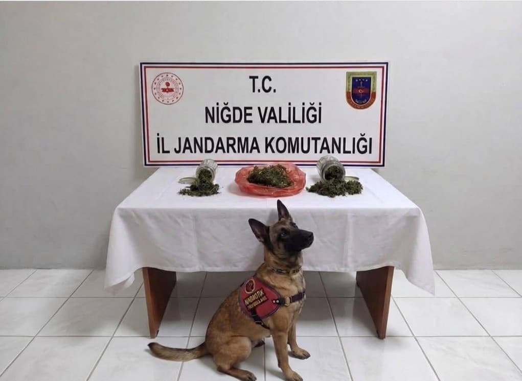 Niğde'de Güvenlik Operasyonları: Bir Haftada 51 Aranan Şahıs Yakalandı