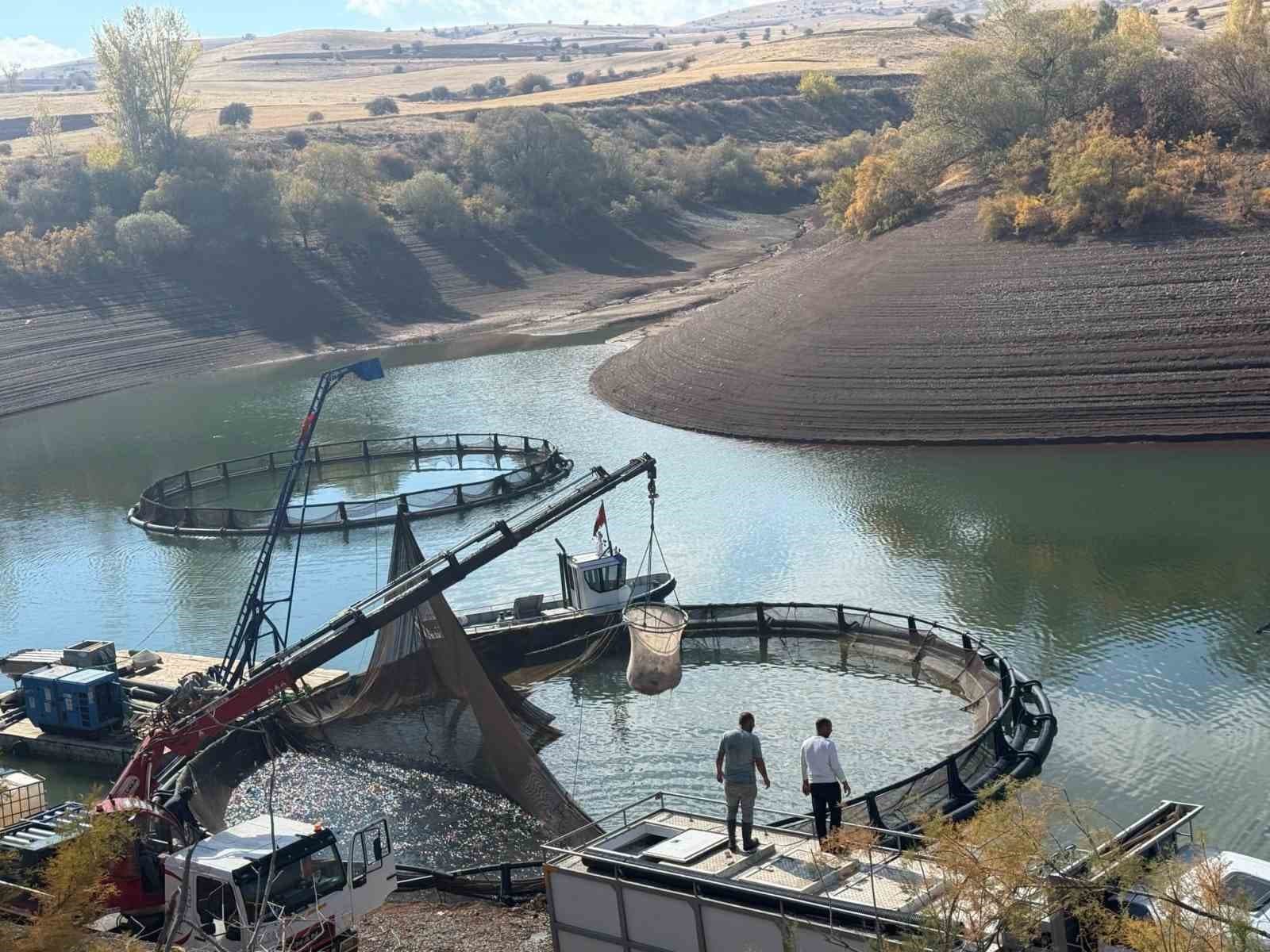 Tercan Baraj Gölü'nde Su Ürünleri Üretimi Artış Gösteriyor