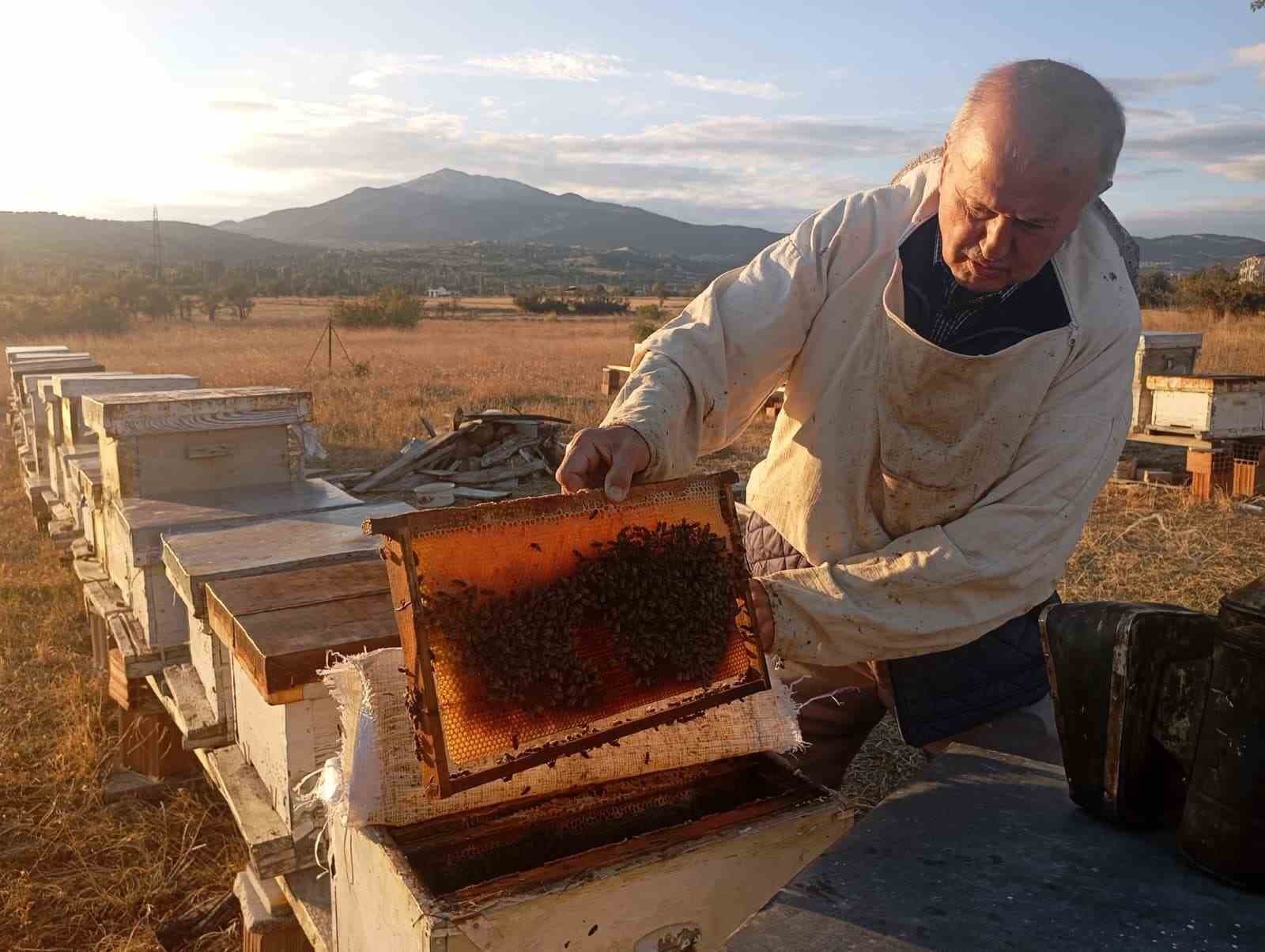 Gediz'de Bereketli Bal Hasadı Tamamlandı