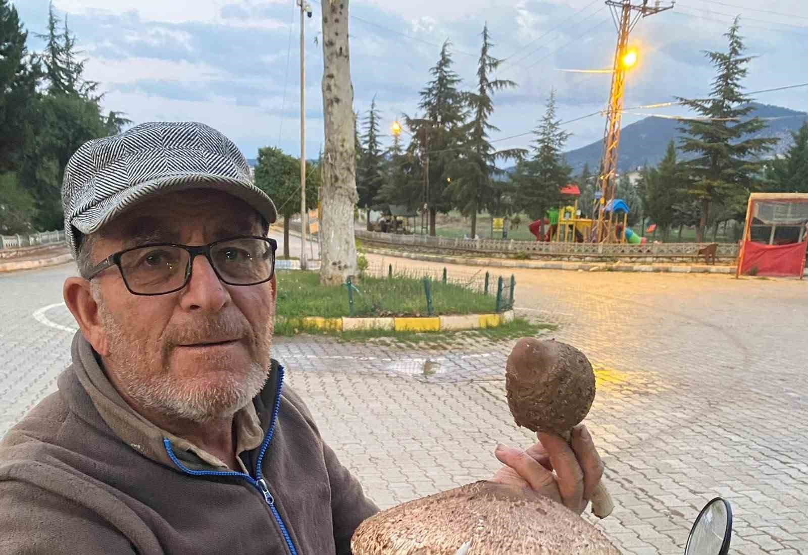 Beyşehir'de Dev Boyutlu Mantar Şaşkınlığı