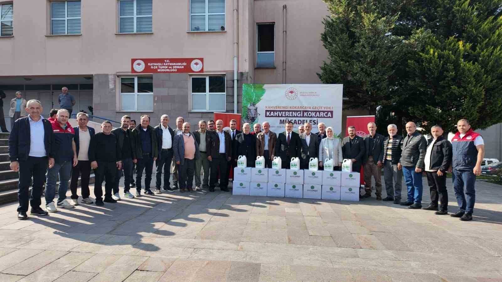 Kaynaşlı'da Kahverengi Kokarcayla Mücadele Seferberliği