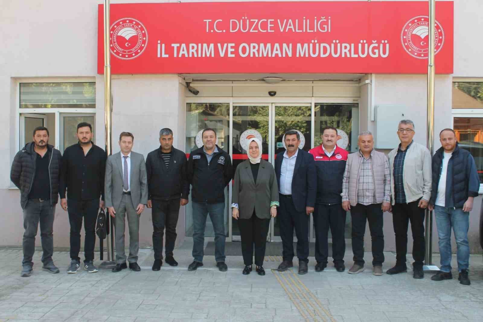 Anadolu Mandasının Geleceği Düzce'de Masaya Yatırıldı