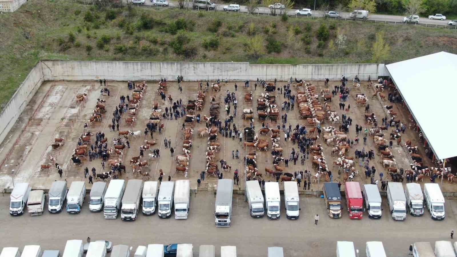 Kastamonu'da Şap Hastalığı Nedeniyle Hayvan Pazarları Kapatıldı