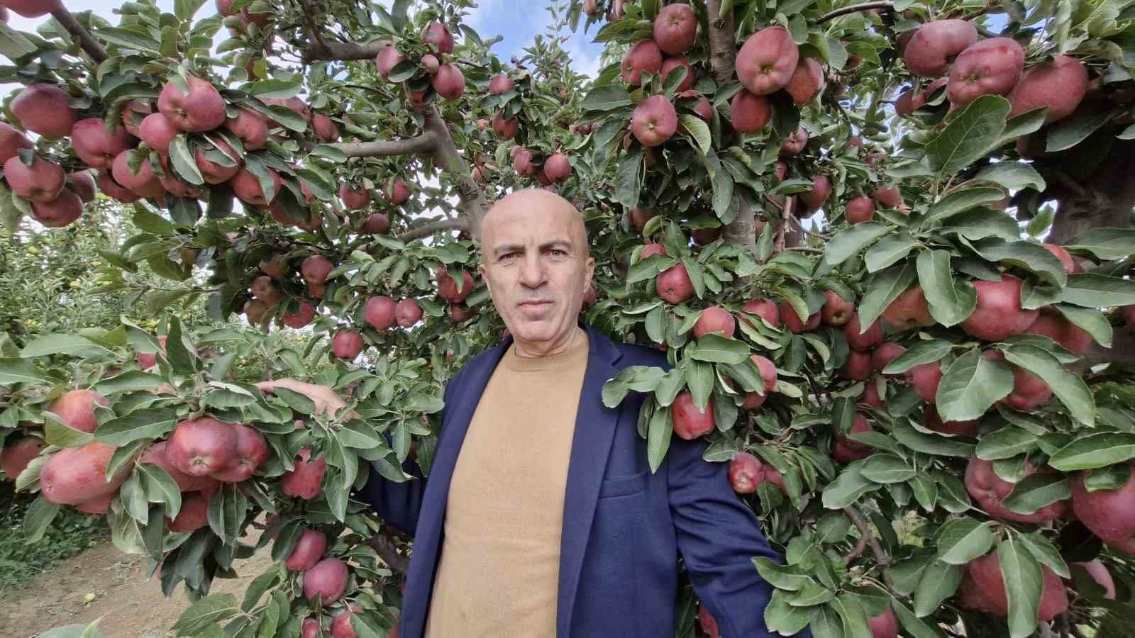 Karaman'da Elma Bolluğu Fiyatları Düşürdü