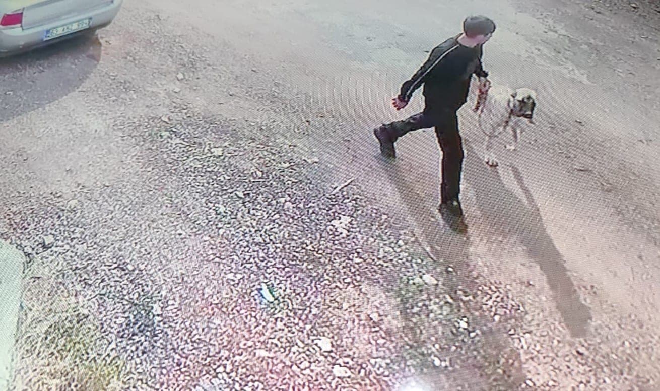 Siverek'te Kangal Köpeği Hırsızlığı Kamerada