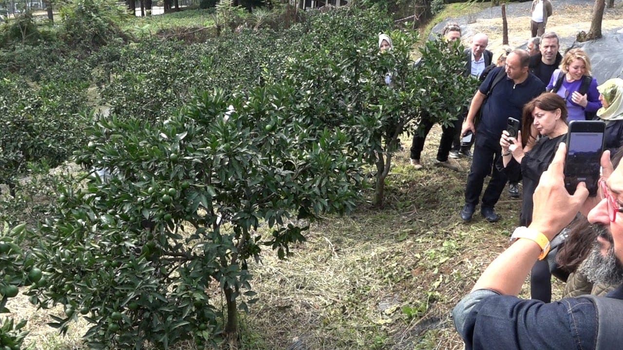 Rize'nin Gastronomi Vizyonu: Tarladan Sağlığa Sürdürülebilir Dönüşüm