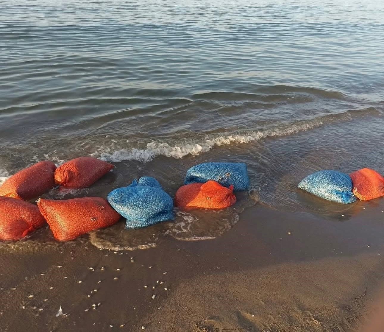 Mudanya'da Kaçak Kum Şırlanı Avcılığına Operasyon