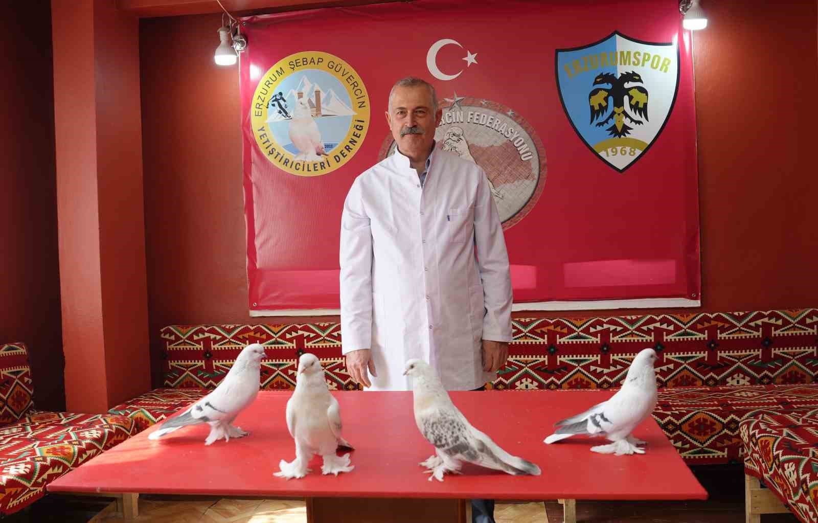 Emekli Astsubayın Güvercin Tutkusu: Kuşları İçin Ev Kiraladı