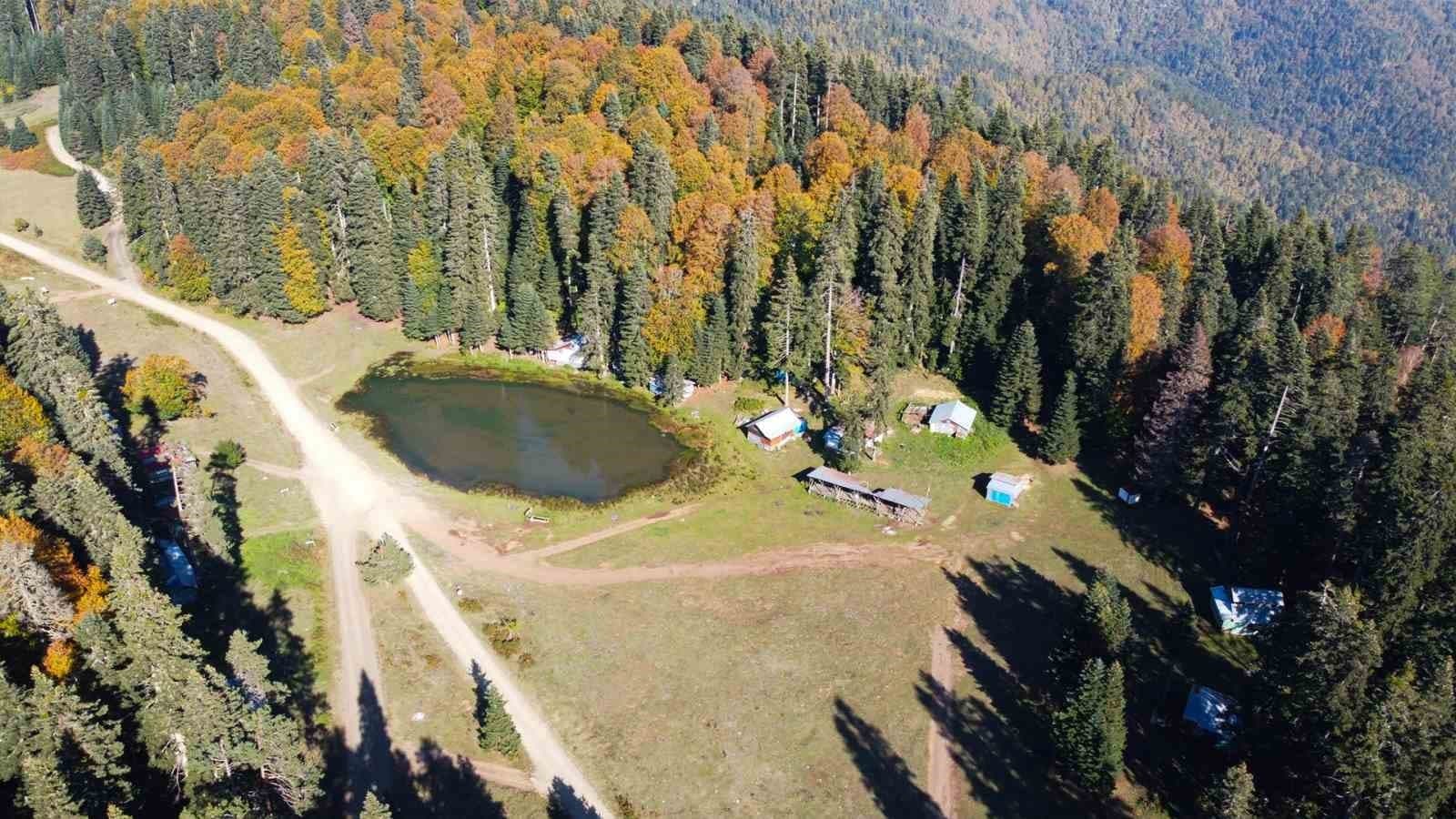Pürenli Yaylası'nda Sonbaharın Büyüleyici Renkleri