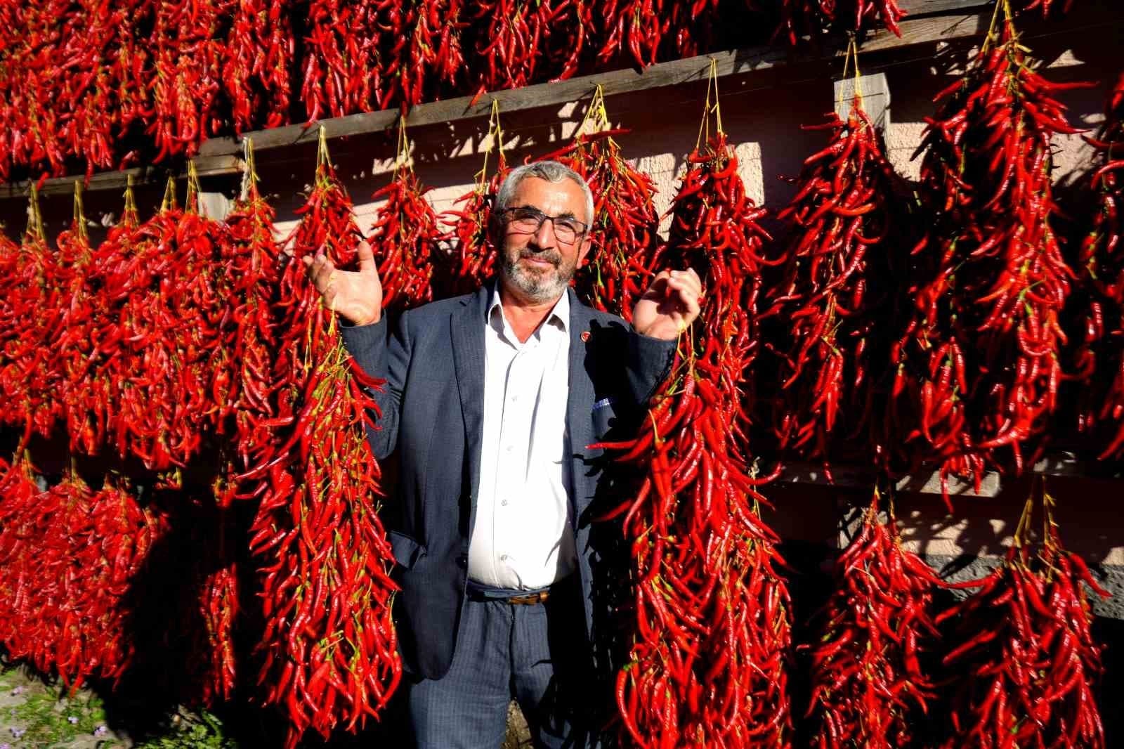 Bilecik'in Coğrafi İşaretli Kırmızı Biberleri Köyü Renklendiriyor