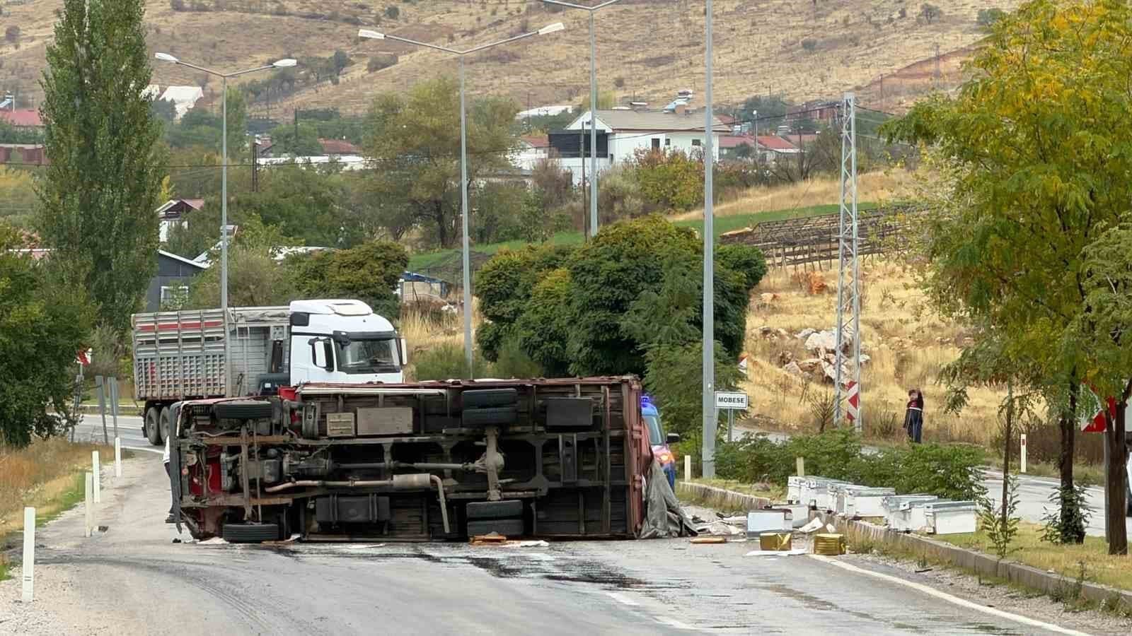 Malatya'da Arı Taşıyan Kamyon Devrildi: 2 Yaralı