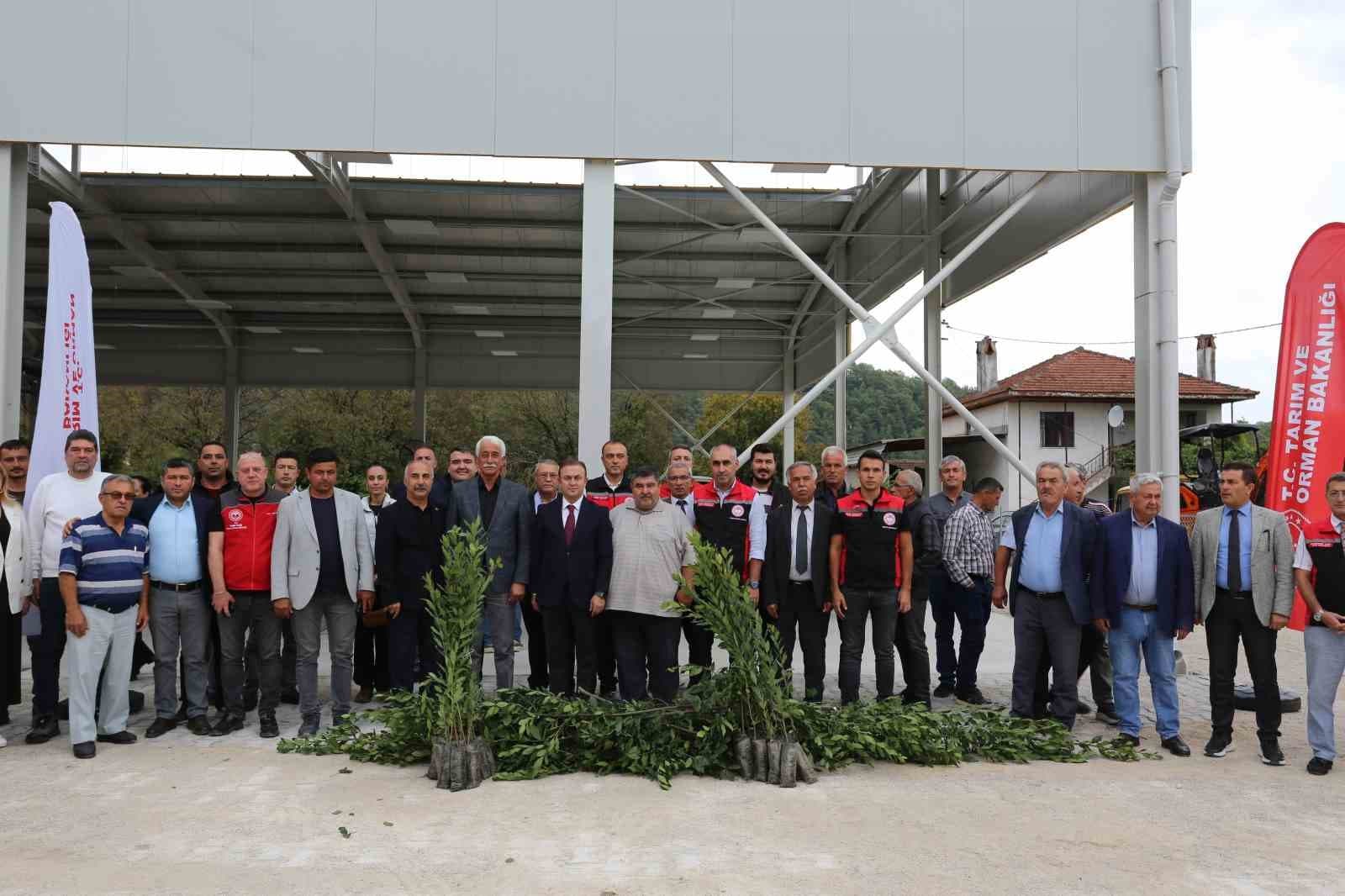 Muğla'da Defne Üretimine Büyük Destek: İhracat Hedefi 75 Milyon Dolar