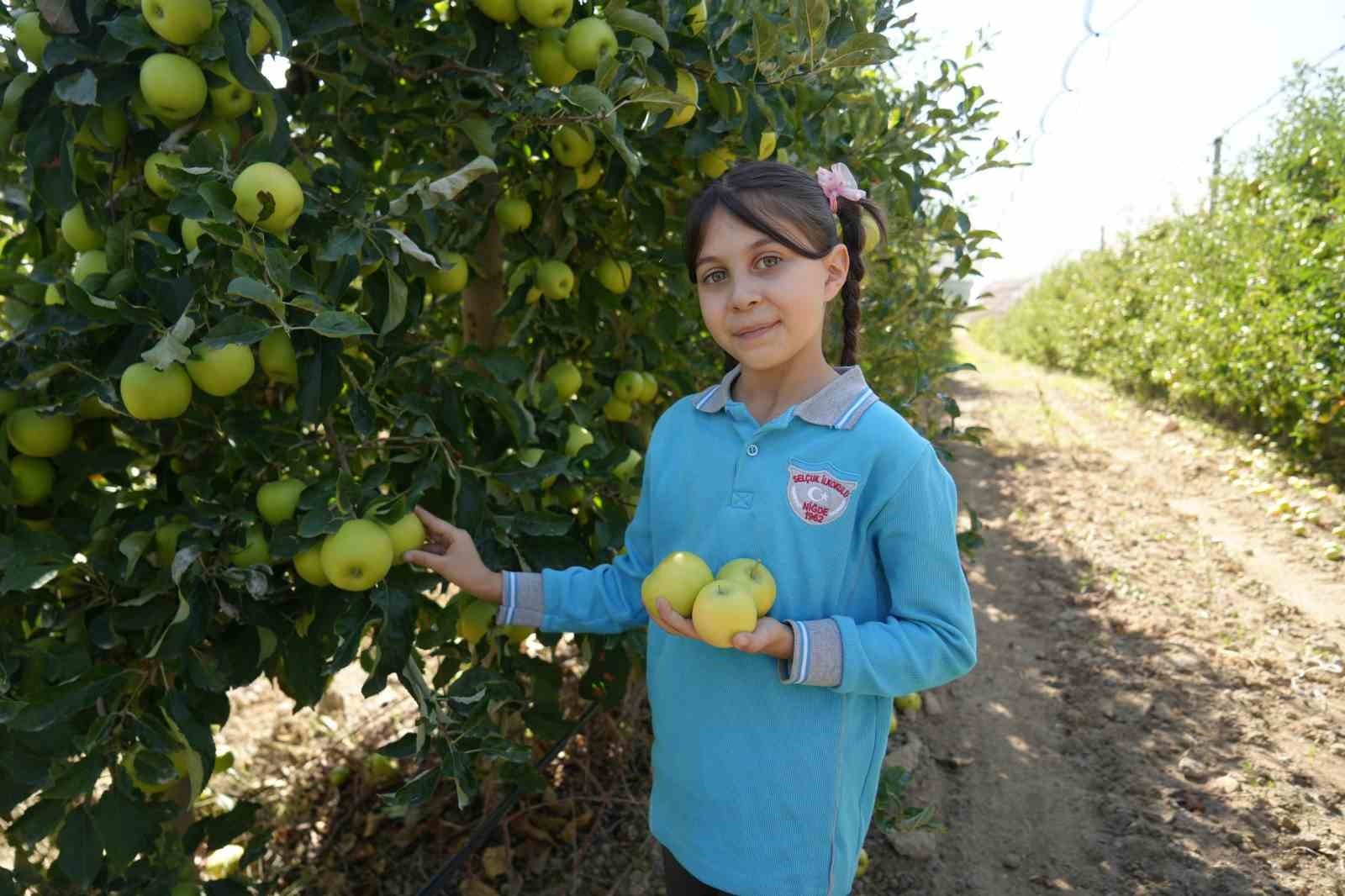 Niğde'de İlkokul Öğrencileri Tarımsal Üretimi Yerinde Öğreniyor