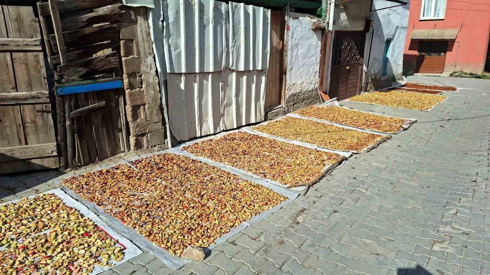 Hisarcık'ta Elma Kurusu Üreticisi Düşen Fiyatlar Nedeniyle Endişeli