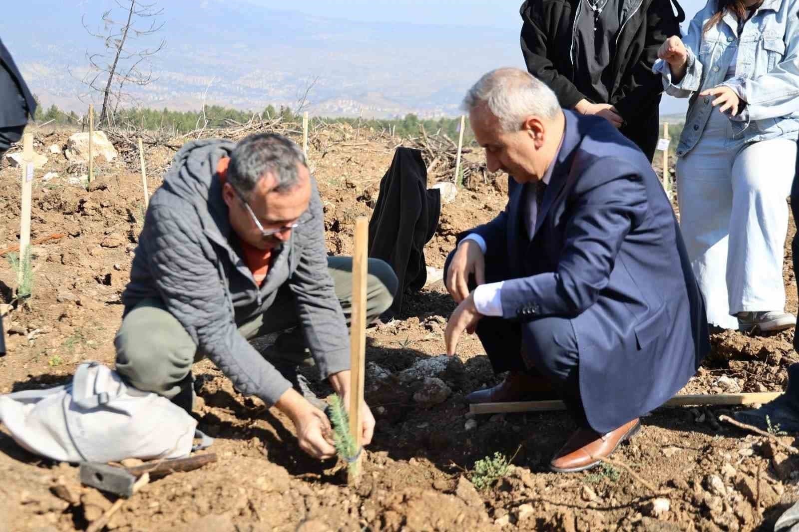 Karabük'te ErasmusDays Kapsamında 250 Fidan Dikildi