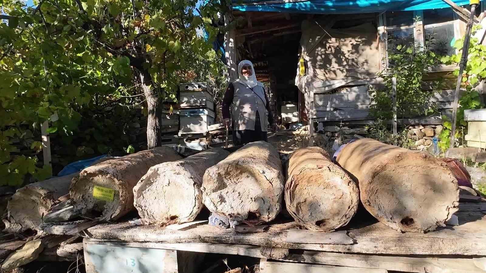 Yozgat'ta Beş Nesillik Arıcılık Geleneği: 85 Yaşındaki Hatice Orhan Karakovan Balı Üretiyor