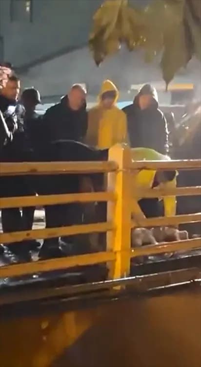 Yalova'da Sağanak Yağışı Durdurmak İçin Köprüde Kurban Kesildi