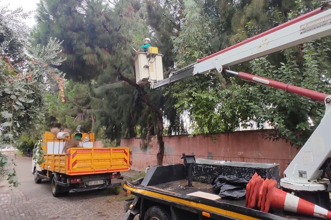 Efeler'de Güvenli Yeşil Alanlar İçin Budama Mesaisi