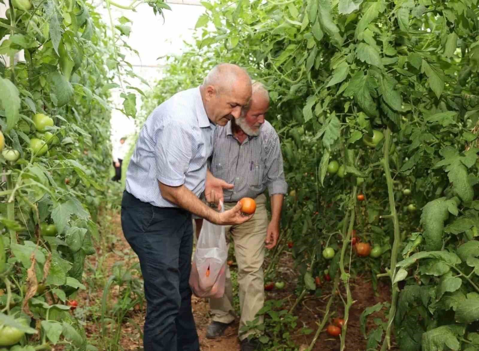 Gebze Belediyesi'nden Çiftçilere Kapsamlı Üretim Desteği