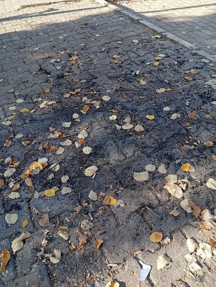 Bilecik'te Parkın Ortasında Yakılan Ateş Tepki Çekti
